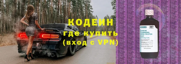 эйфоретик Дмитриев