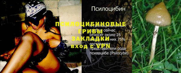 эйфоретик Дмитриев