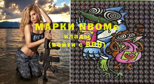 мдпв Елизово